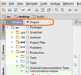 Set the project view by right-clicking on the top of the project exporer